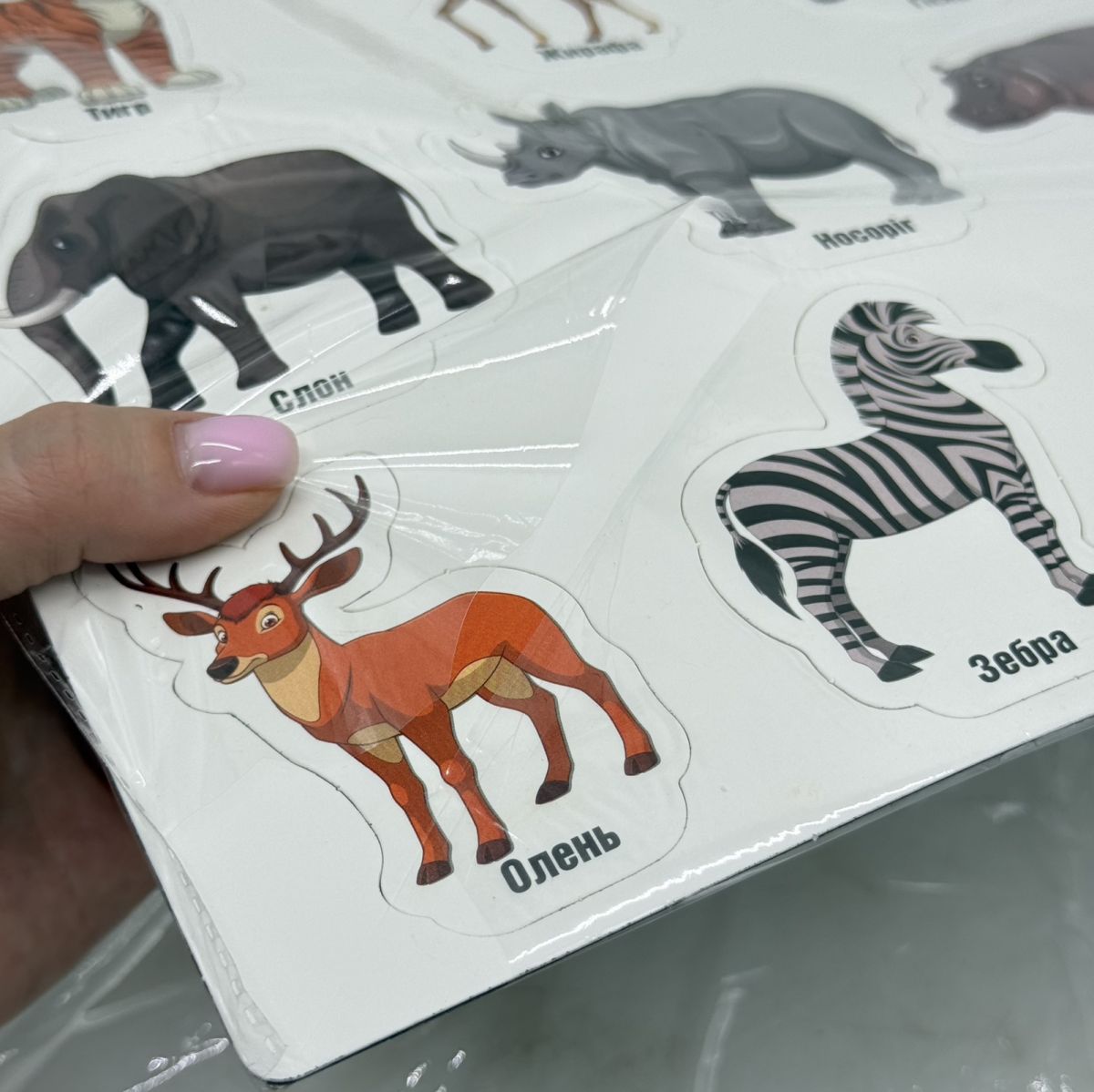 Уцінка.  Набір магнітів "Дикі тварини" - ПРОРІЗАНА УПАКОВКА  фото 3