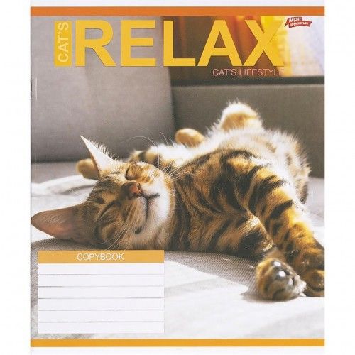 Тетрадь ЦВЕТНАЯ на 18 листов КЛЕТКА "RELAX CATʼS" (20 ШТ)  фото 3