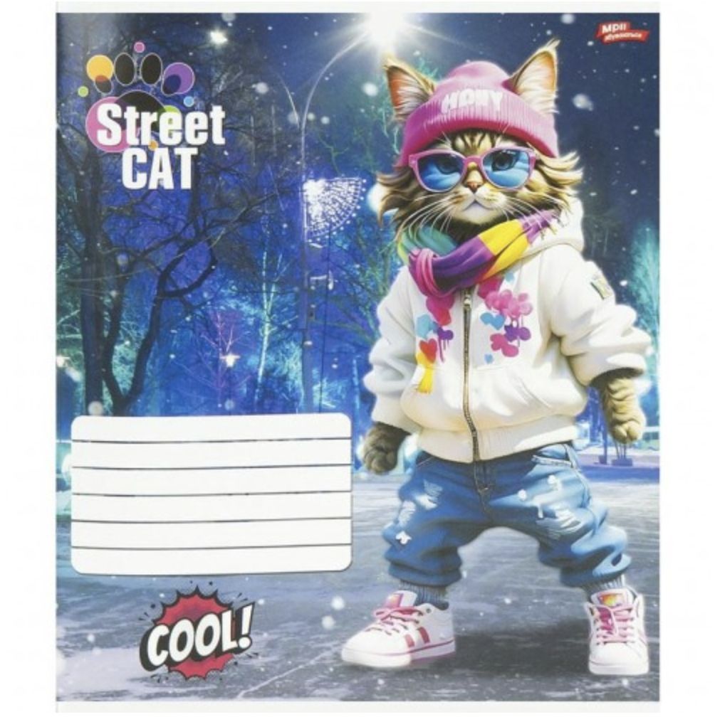 Зошит 12л клітинка "Street Cat" (20 примірників, мікс)  фото 3