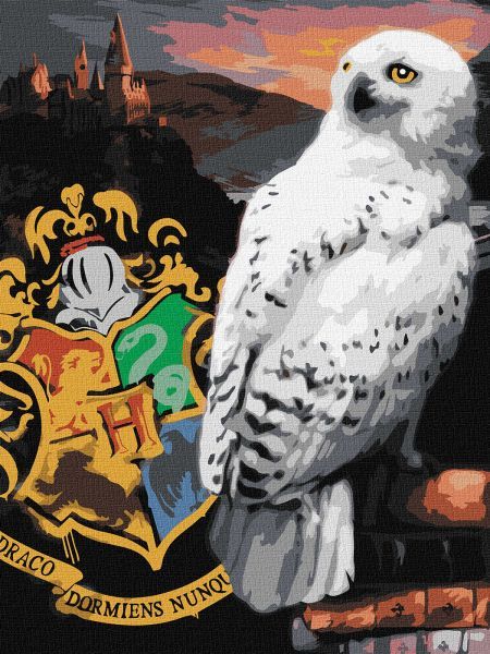 Картина за номерами - Harry Potter: Гедвіґа та Гоґвортс ©Warner Bros.  фото 1