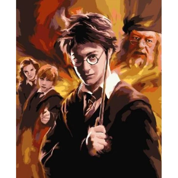 Картина по номерам Гарри Поттер 40*50 см Оригами  фото 1