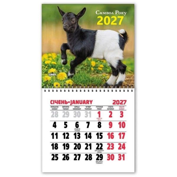 Календар на магніті відривний на 2027 рік Символ року (11х20 см)  фото 1