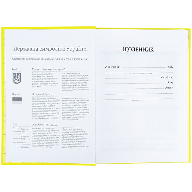 Щоденник шкільний, тверда обкл, жовтий  фото 4