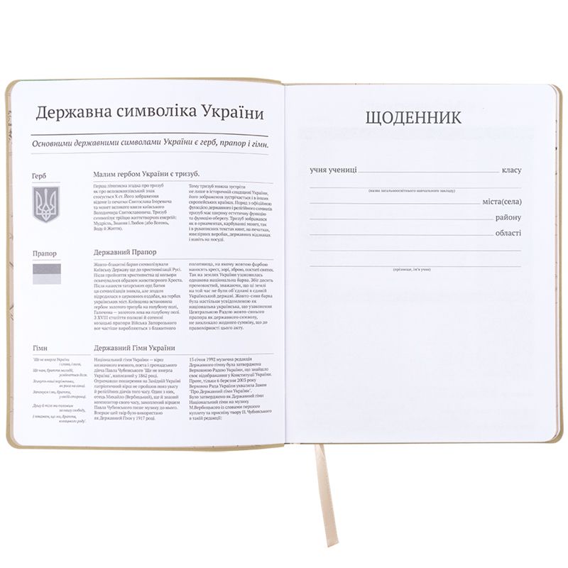 Щоденник шкільний, м'яка обкл.  PU, HP  фото 4