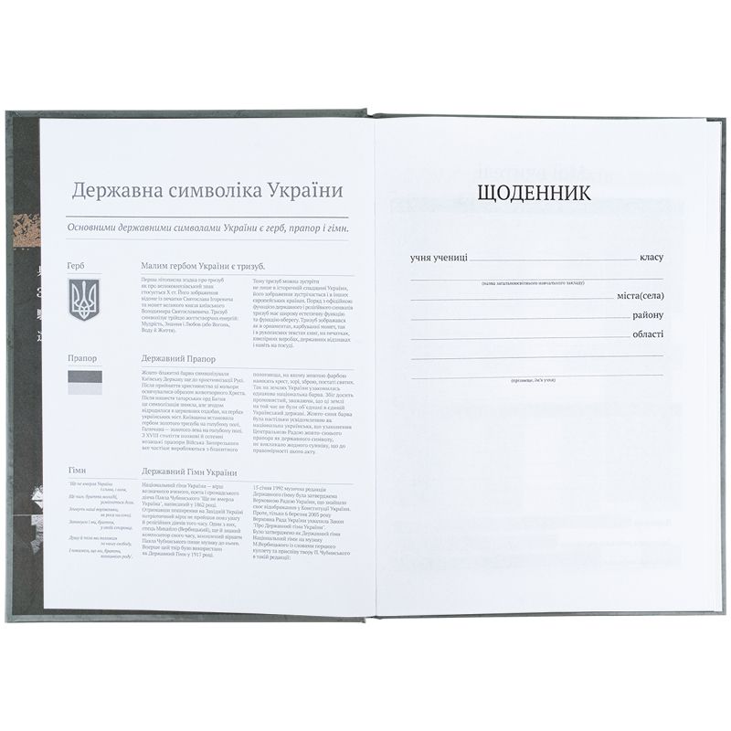 Щоденник шкільний, тверда обкл, AT  фото 4