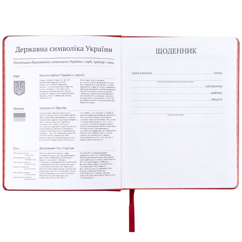 Щоденник шкільний, тверда обкл.  PU, HP  фото 4