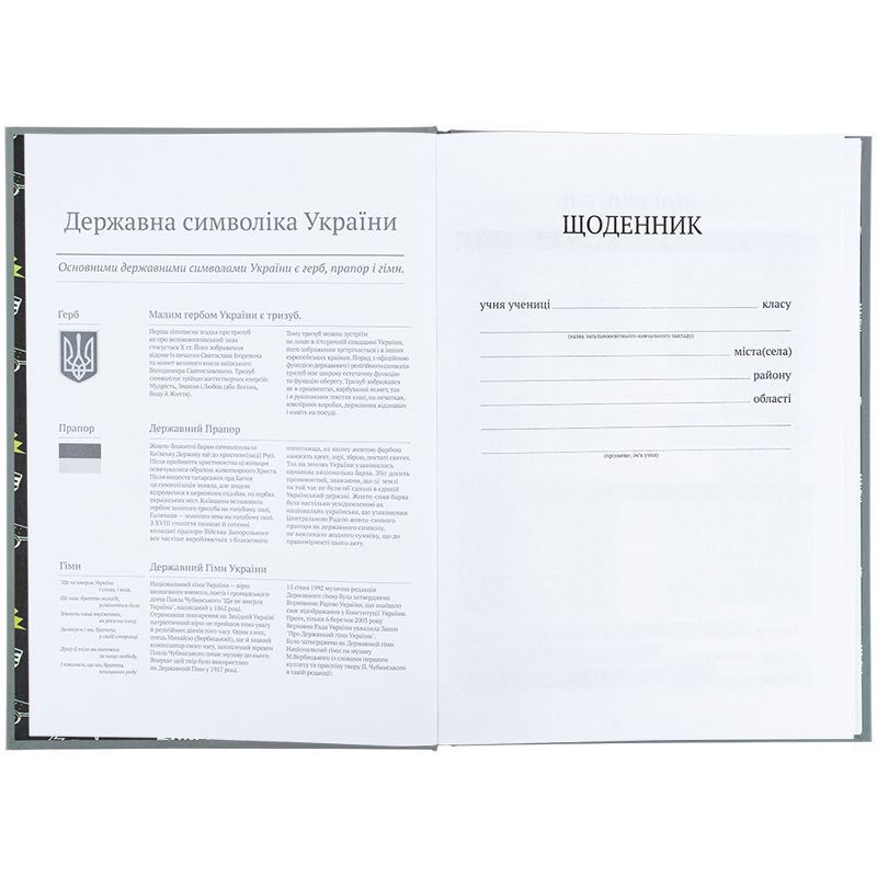 Щоденник шкільний, тверда обкл, Energy  фото 4