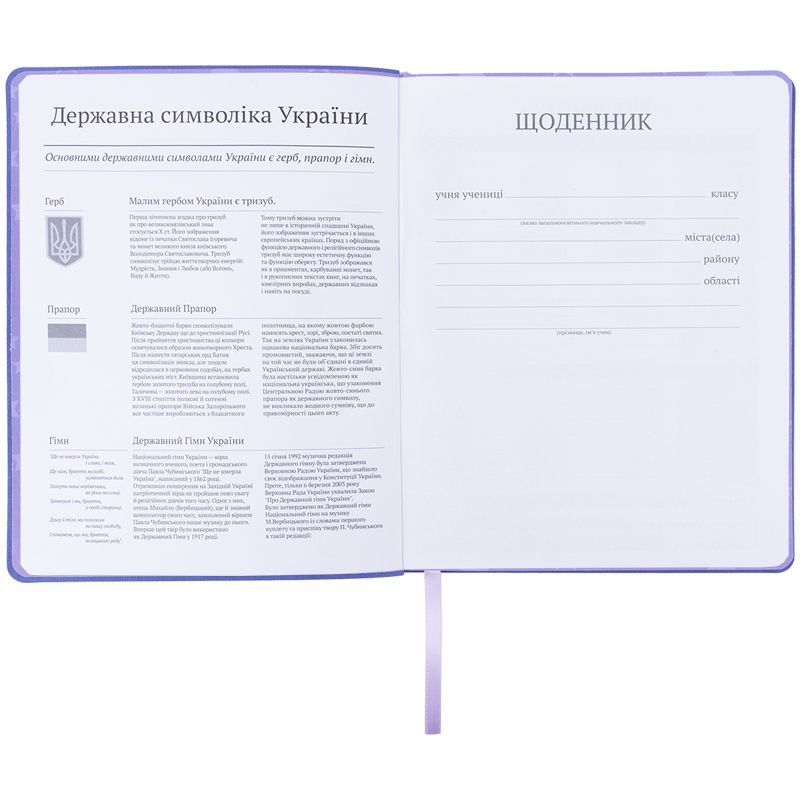 Щоденник шкільний, м'яка обкл. PU, LP фото 4 Щоденник шкільний, м'яка обкл. PU, LP фото 4