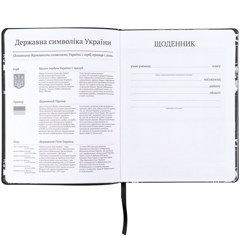 Щоденник шкільний, м'яка обкл. PU, Anime boy фото 4 Щоденник шкільний, м'яка обкл. PU, Anime boy фото 4