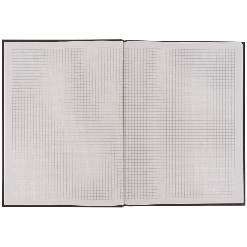 Книга записна А4-, 203*273 мм,96 арк. , кл.  One color, борд.  фото 4