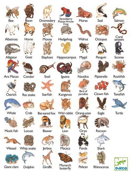 Гра настільна карткова дитяча "Занімалка"  фото 4