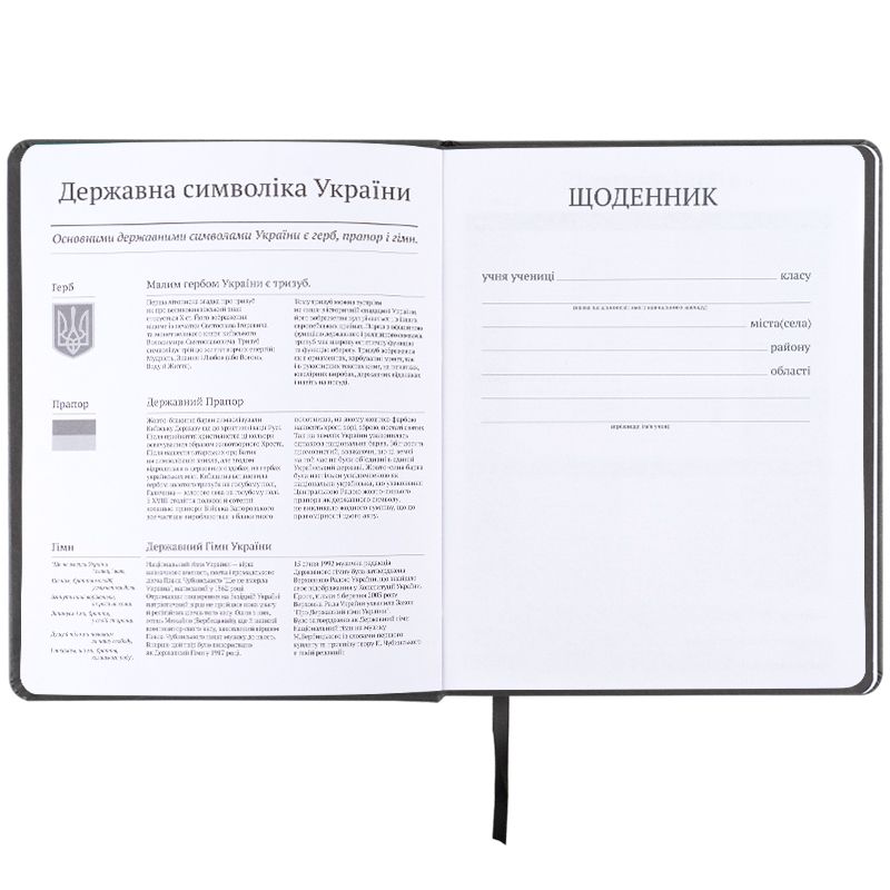 Щоденник шкільний, тверда обкл.  PU, Gamer  фото 4