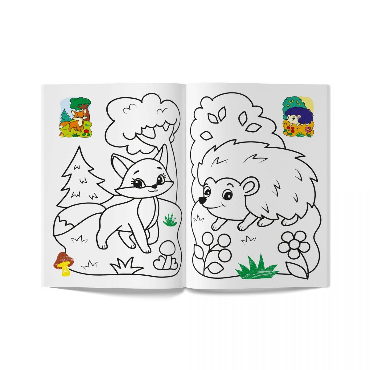 Книга розмальовка "Кольорованка.  Тваринки"  фото 4