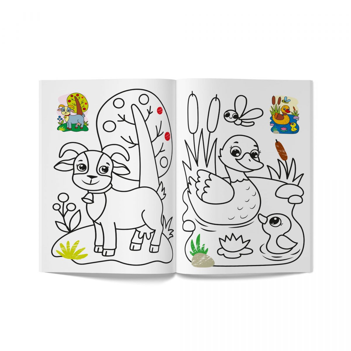 Книга розмальовка "Кольорованка.  Ферма"  фото 4