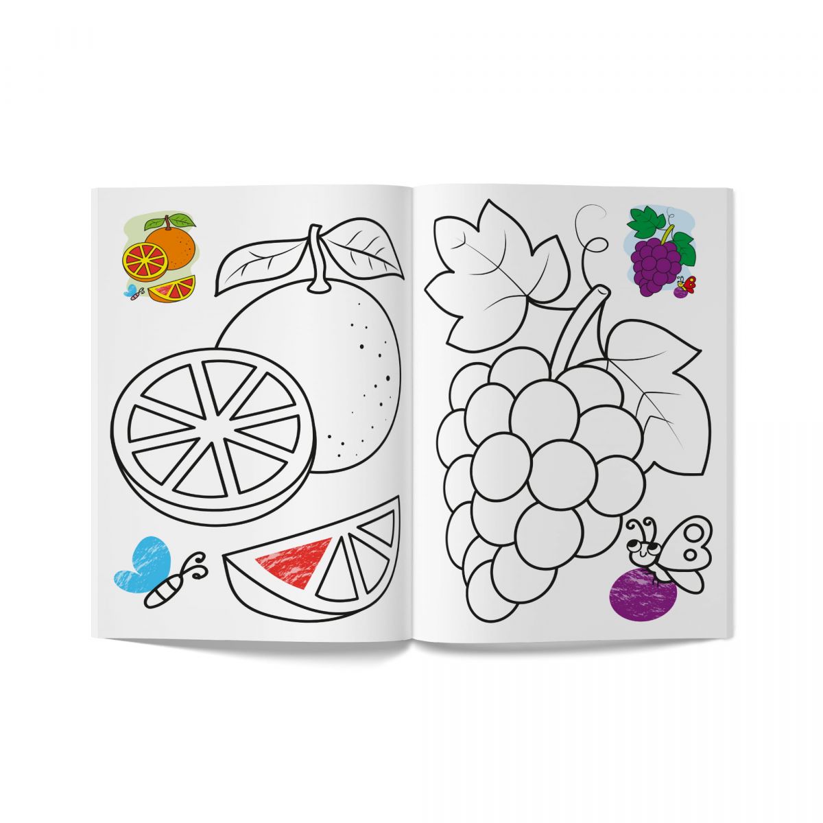 Книга розмальовка "Кольорованка.  Фрукти"  фото 4