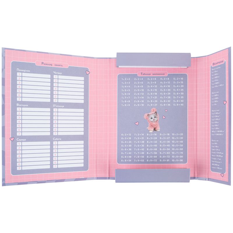 Папка для зошитів В5 на гумці картон, SP  фото 4