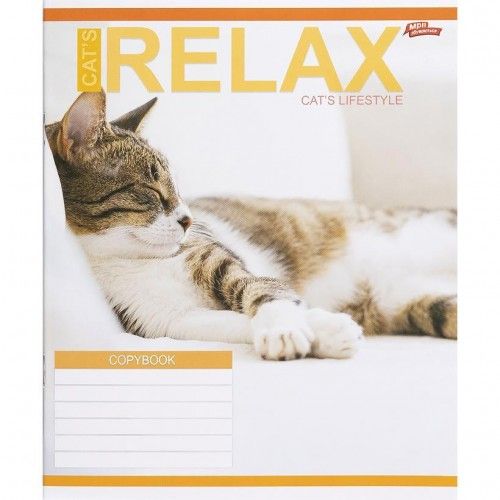 Тетрадь ЦВЕТНАЯ на 18 листов КЛЕТКА "RELAX CATʼS" (20 ШТ)  фото 4