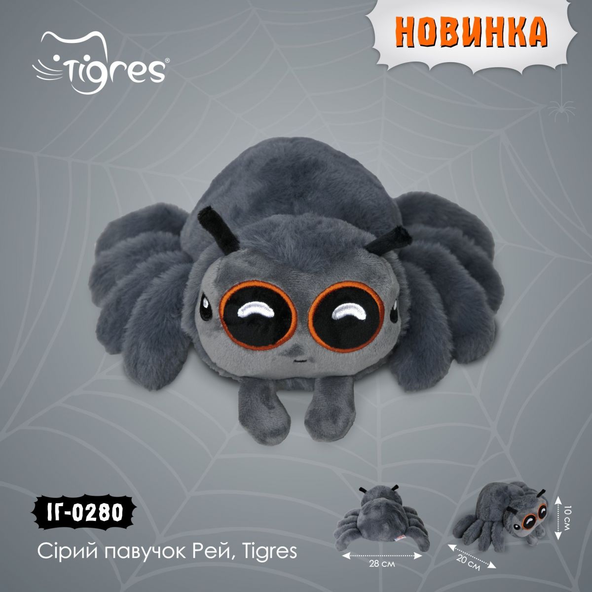 Сірий павучок Рей, Tigres  фото 4