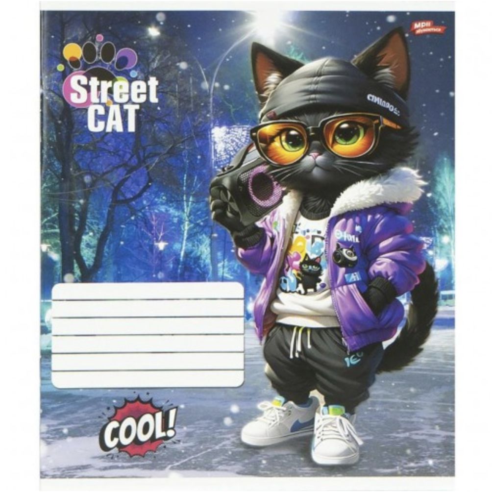 Зошит 12л клітинка "Street Cat" (20 примірників, мікс)  фото 4