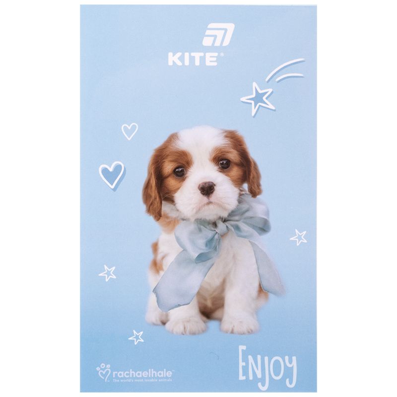 Блокнот-планшет, A6, 50 арк, безлін.  RH  фото 5