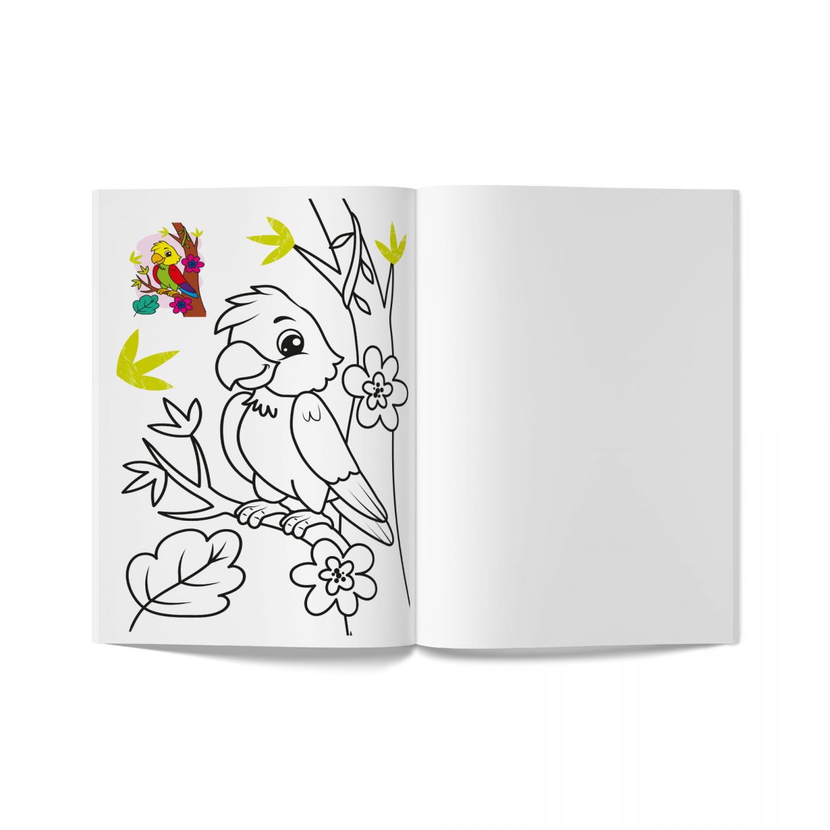 Книга розмальовка "Кольорованка.  Зоопарк"  фото 5