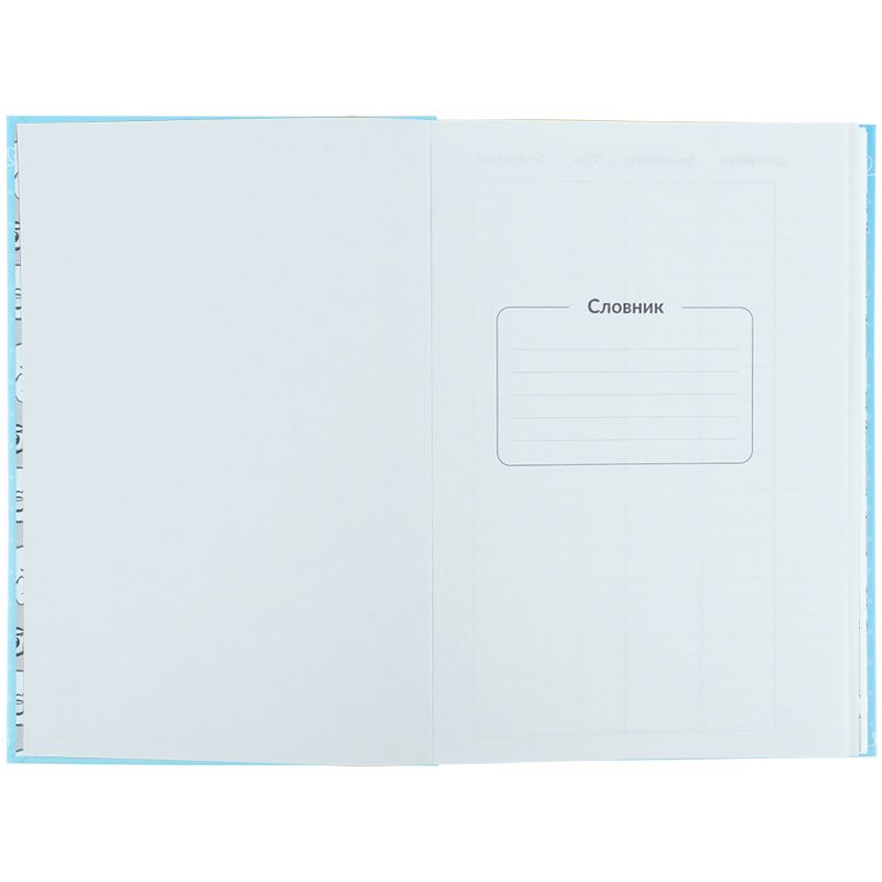 Словник з іноземної мови, 60 арк. , CR  фото 5