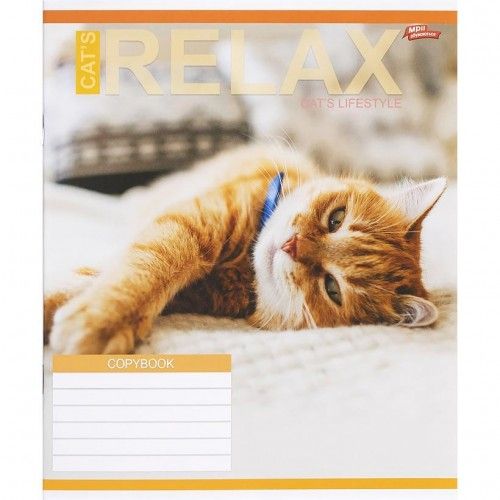 Тетрадь ЦВЕТНАЯ на 18 листов КЛЕТКА "RELAX CATʼS" (20 ШТ)  фото 5