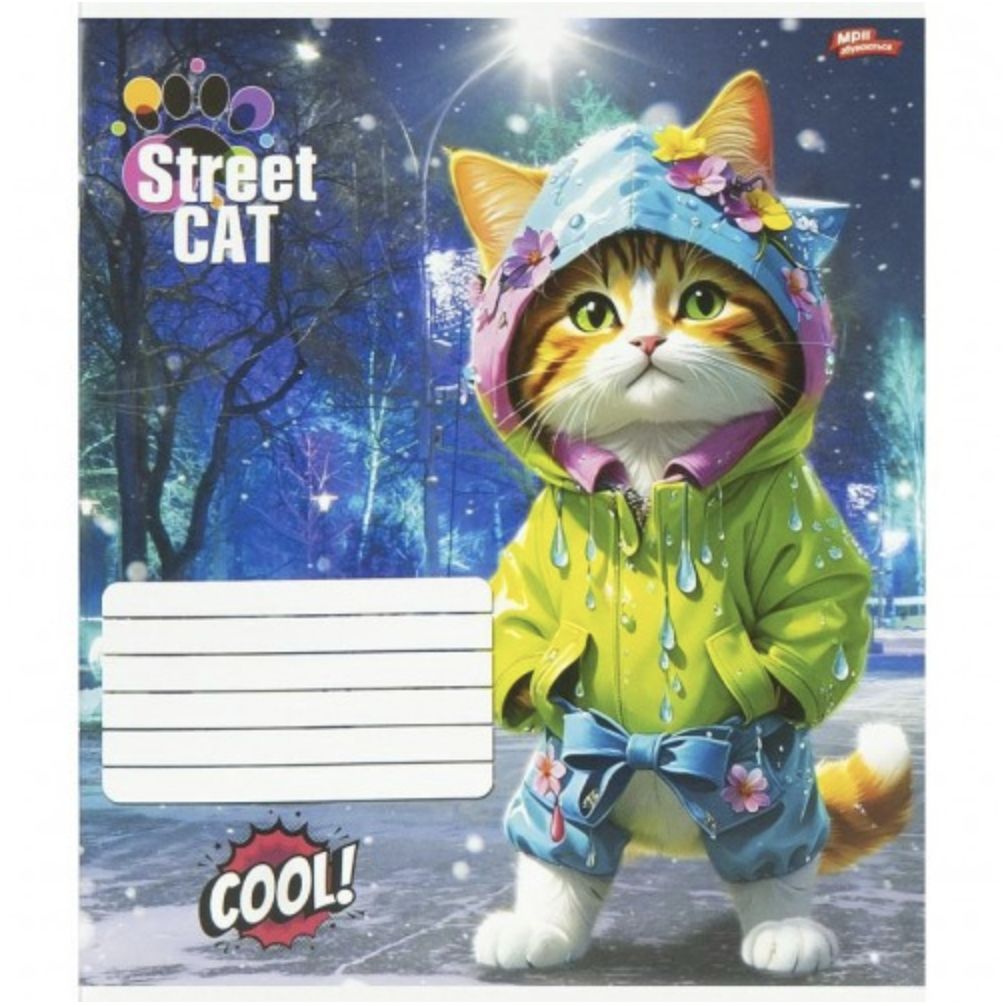 Зошит 12л клітинка "Street Cat" (20 примірників, мікс)  фото 5