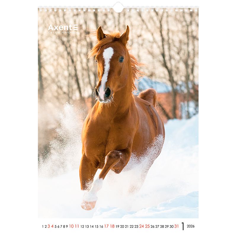 Календар настінний А3 2026 р. , Horses фото 6 Календар настінний А3 2026 р. , Horses фото 6