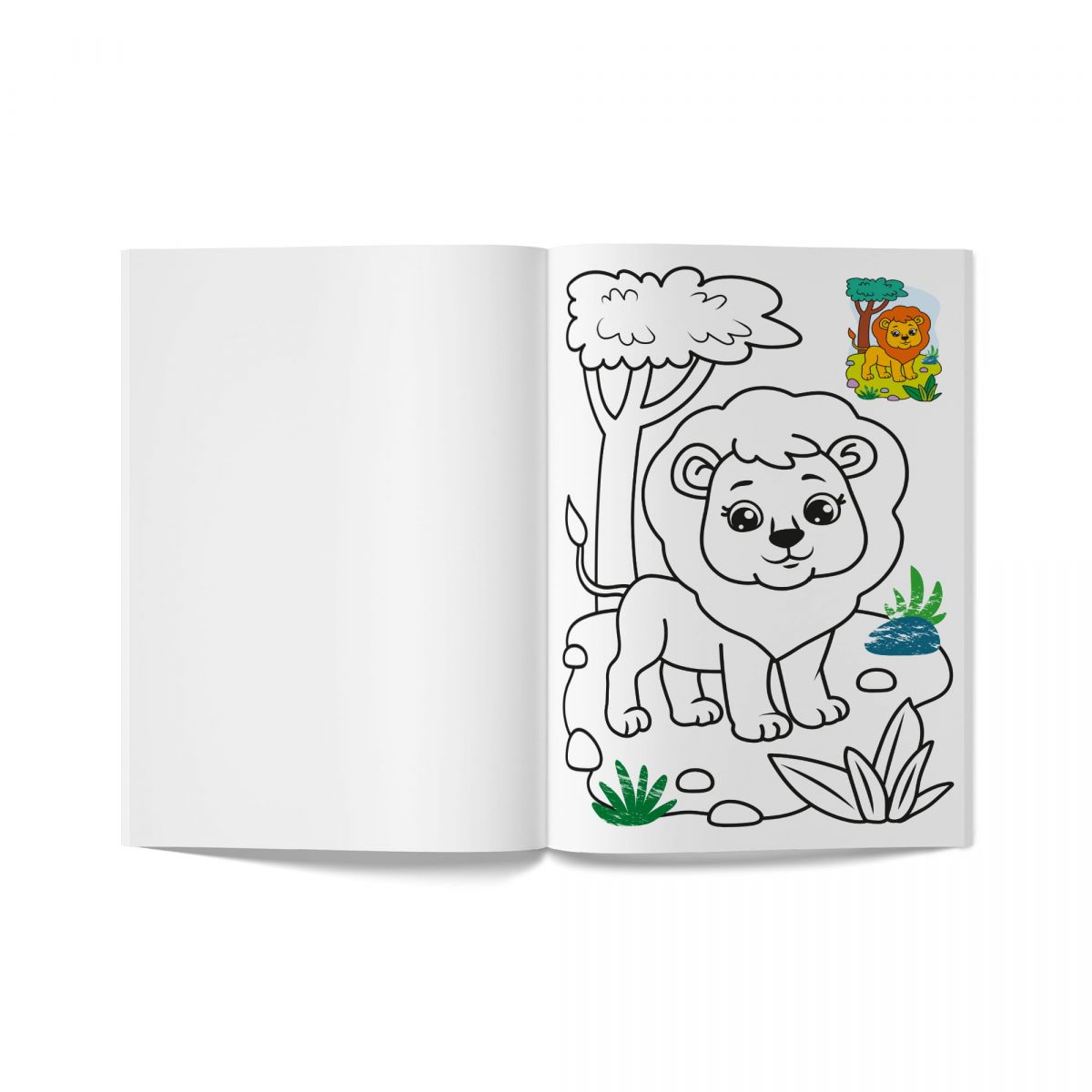 Книга розмальовка "Кольорованка.  Зоопарк"  фото 6