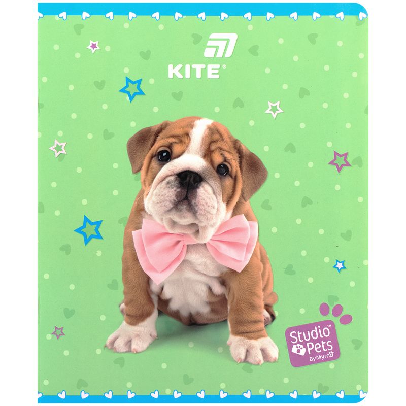 Тетрадь 24 л. , кл. , софт тач + УФ лак, SP  фото 6