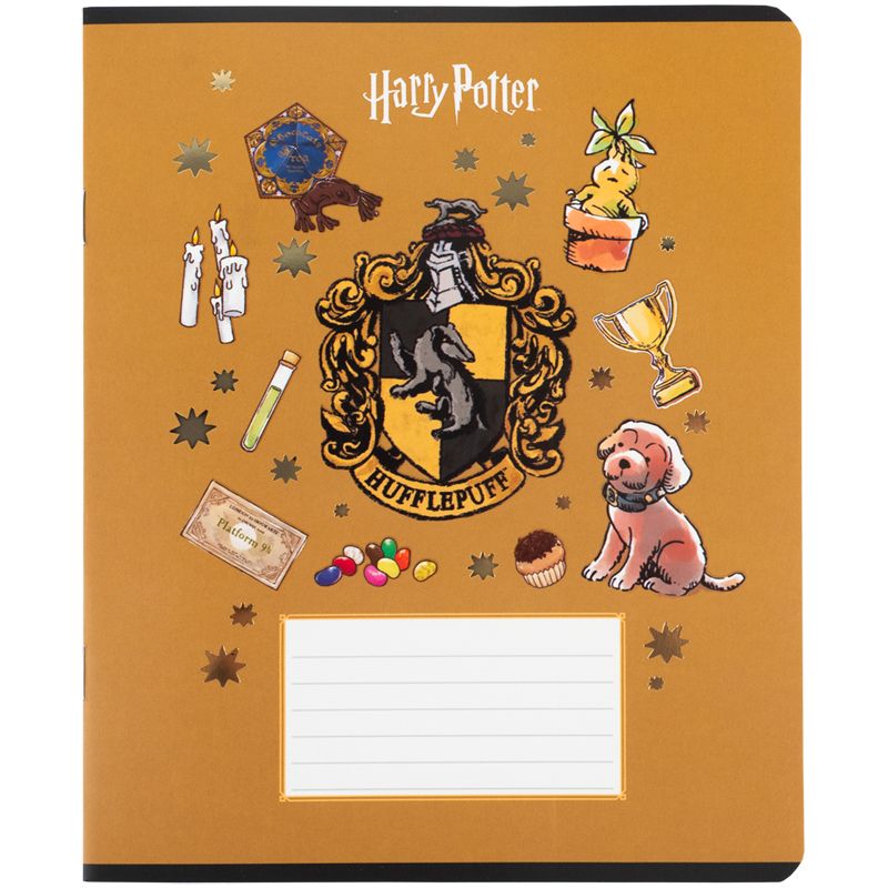 Тетрадь 12 л. , кл. , УФ лак + фольга, HP  фото 6