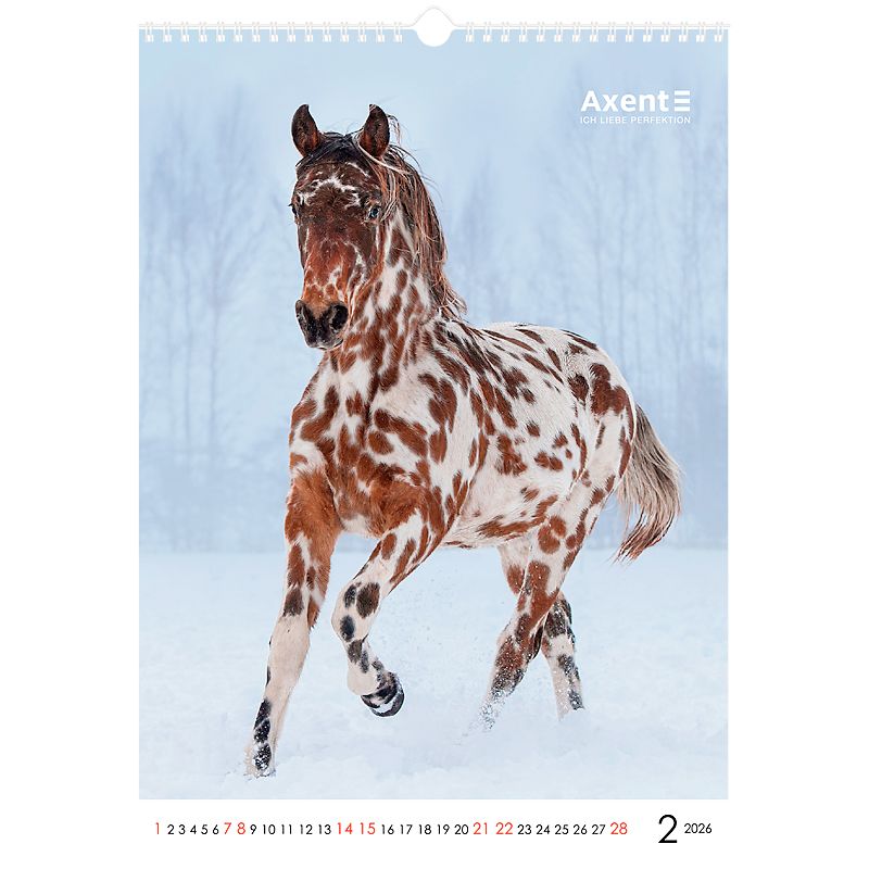Календар настінний А3 2026 р. , Horses фото 7 Календар настінний А3 2026 р. , Horses фото 7