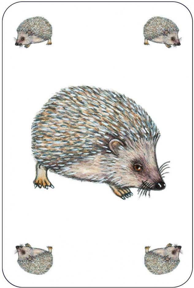 Гра настільна карткова дитяча "Занімалка"  фото 7