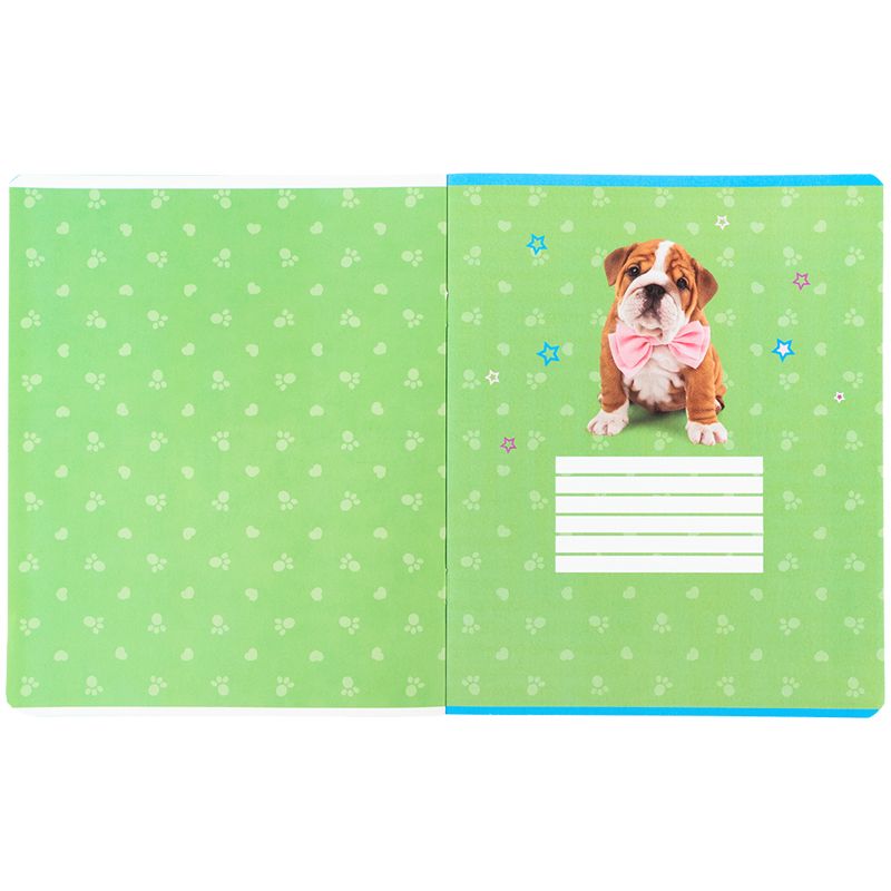 Тетрадь 24 л. , кл. , софт тач + УФ лак, SP  фото 7