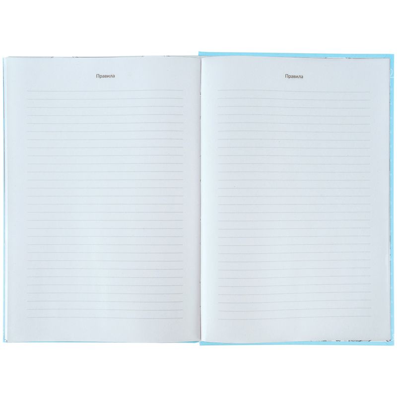 Словник з іноземної мови, 60 арк. , CR  фото 7