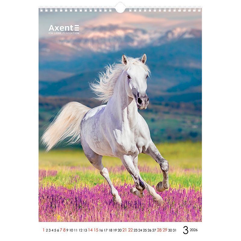 Календар настінний А3 2026 р. , Horses фото 8 Календар настінний А3 2026 р. , Horses фото 8