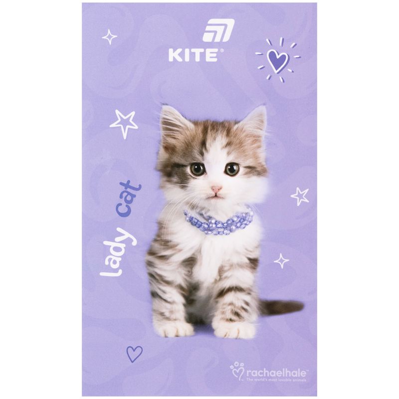 Блокнот-планшет, A6, 50 арк, безлін.  RH  фото 9