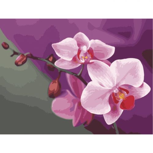 Картина по номерам "Розовые орхидеи" ★★★ фото