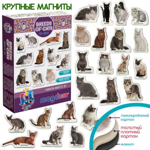 Набір магнітиків "Кішки" фото