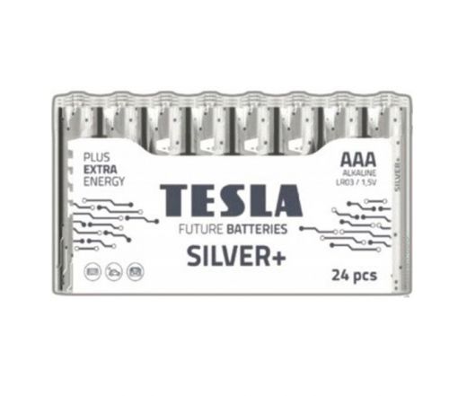Батарейки "TESLA AAA: SILVER +, 24 шт фото