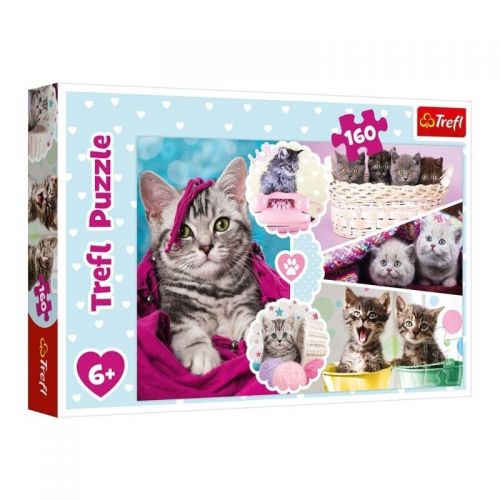 Пазли "Котики", 160 елементів  мініатюра фото 1
