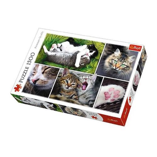Пазлы "Коллаж: Коты", 1500 элементов фото