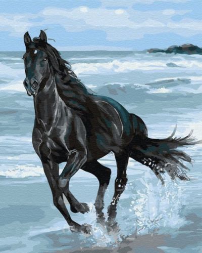 Картина за номерами "Вороний кінь" фото
