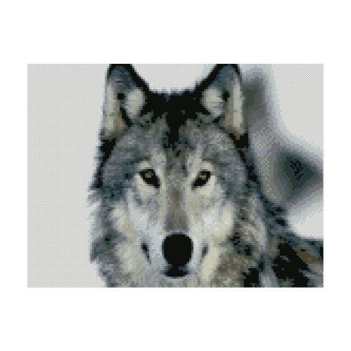 Алмазная мозаика "Красивый волк" фото