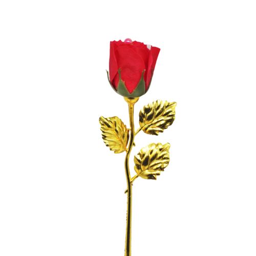 Роза-мило із золотим стеблом, червона фото