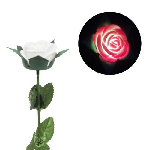 Троянда зі світлом, 40 см (білий) фото