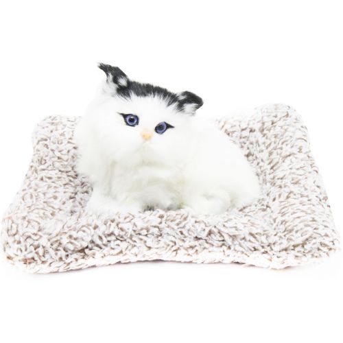 Уцінка.  Котик-пушистик на килимку, вид 3 - Сліди клею на лапках та на килимку фото