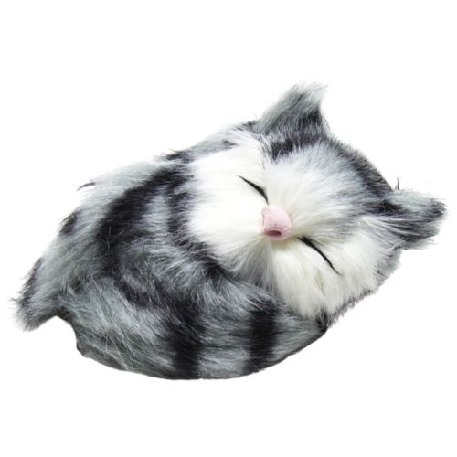 Сонный котик (полосатый серый) фото