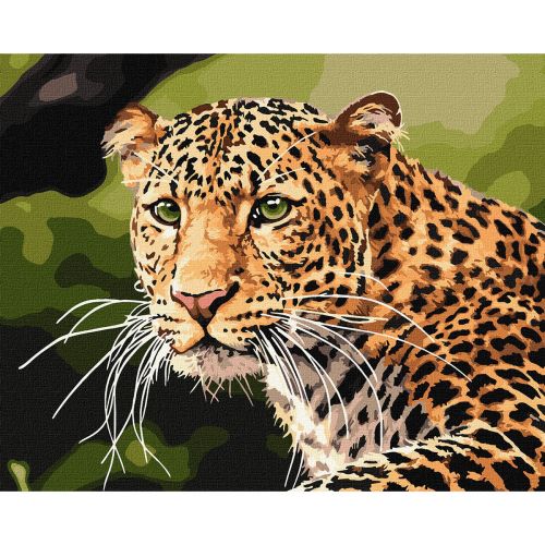 Картина за номерами "Зеленоокий леопард" ★★★ фото